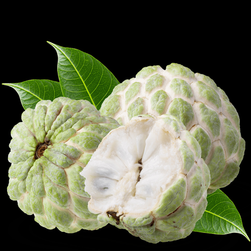 Custard Apple