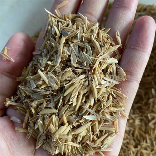 Rice Hulls
