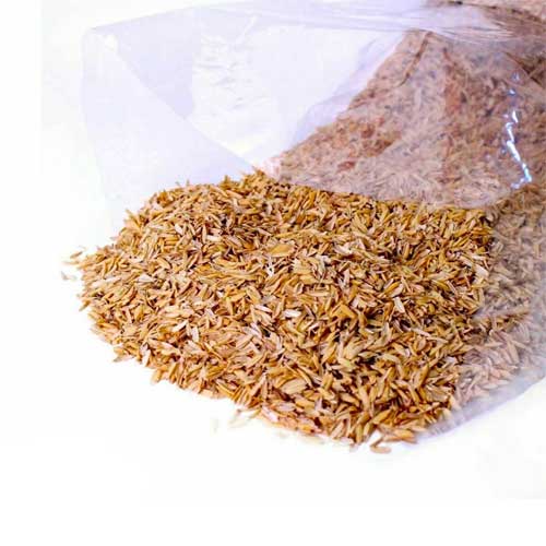 Rice Hulls