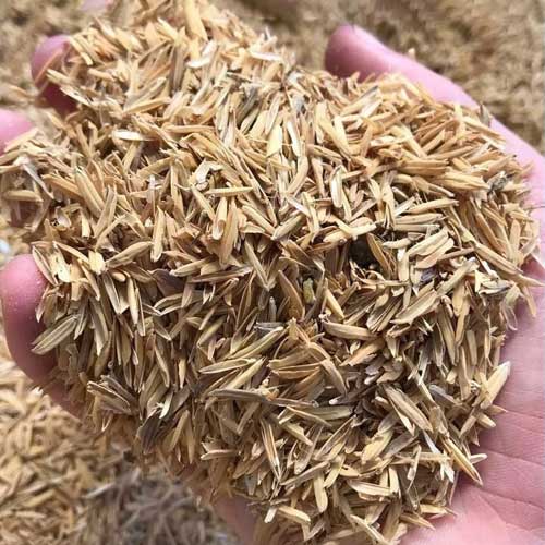 Rice Hulls