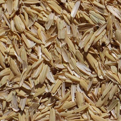 Rice Hulls