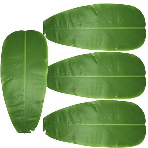 Banana Leaves