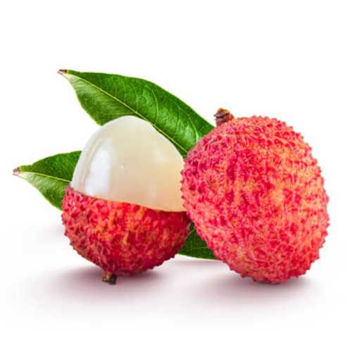 Litchi
