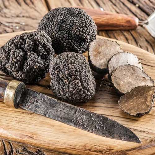 Truffle