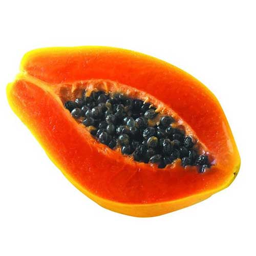 Papaya Pulp