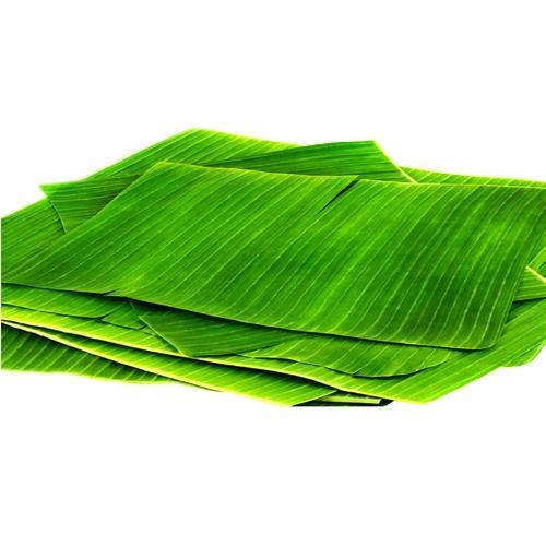 Banana Leaves