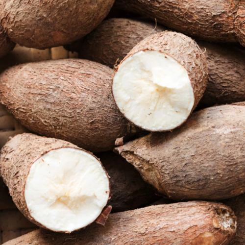 Cassava
