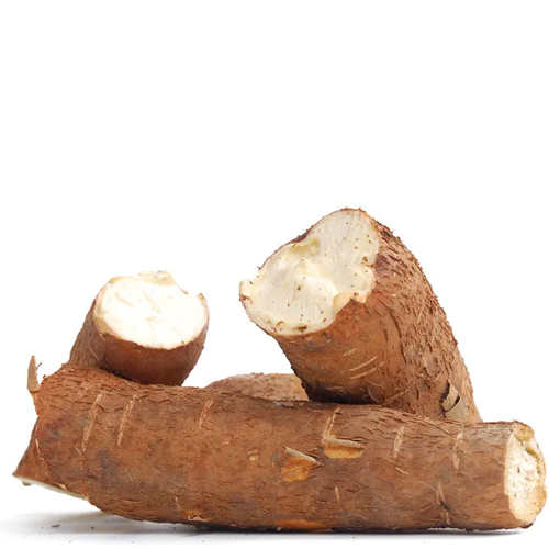 Cassava