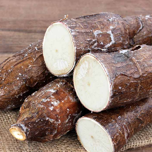 Cassava