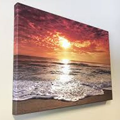 Printed Canvas