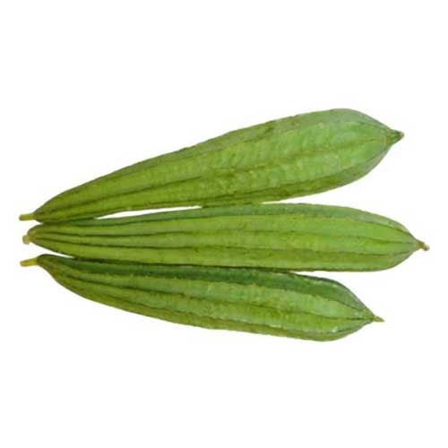 Ridge Gourd
