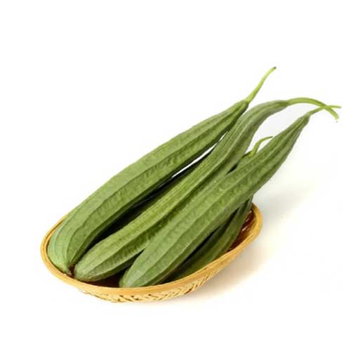 Ridge Gourd