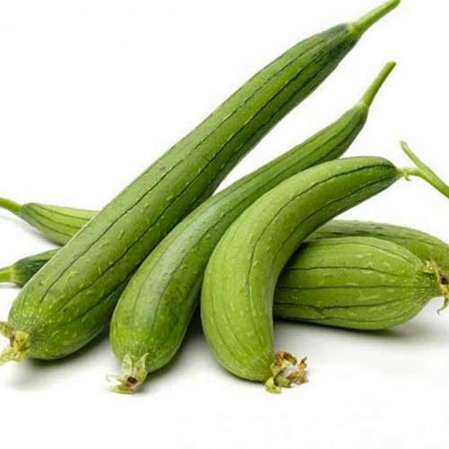 Ridge Gourd