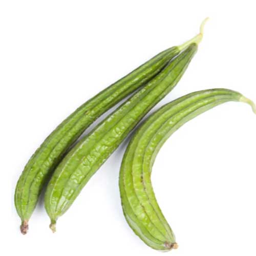 Ridge Gourd