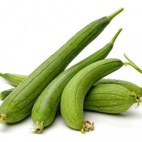 Ridge Gourd