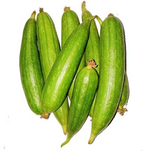Ridge Gourd