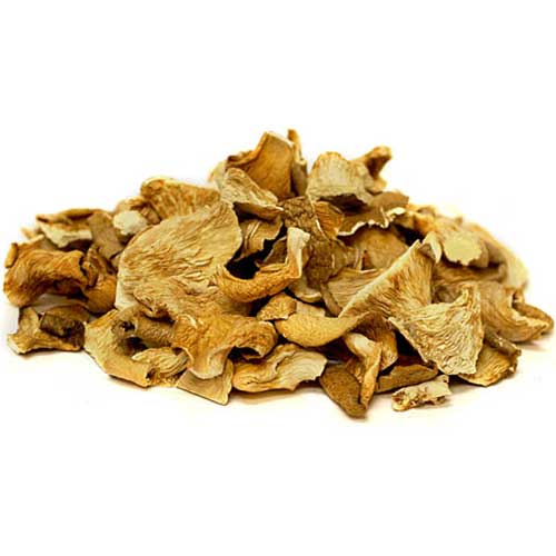 Dry Oyster Mushroom
