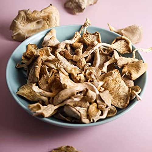 Dry Oyster Mushroom