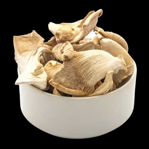 Dry Oyster Mushroom