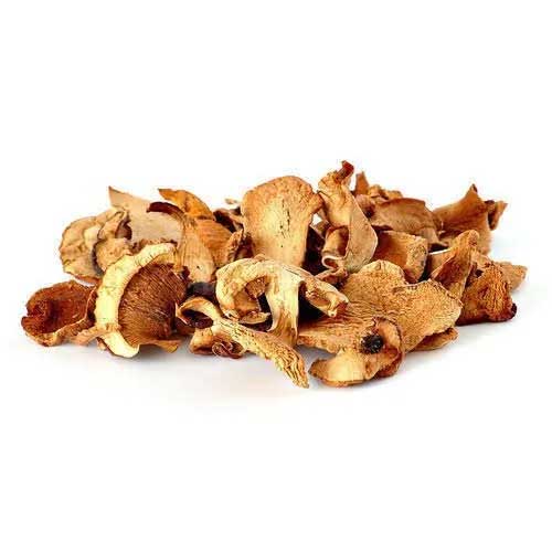 Dry Oyster Mushroom