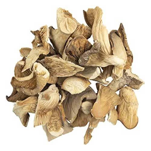Dry Oyster Mushroom