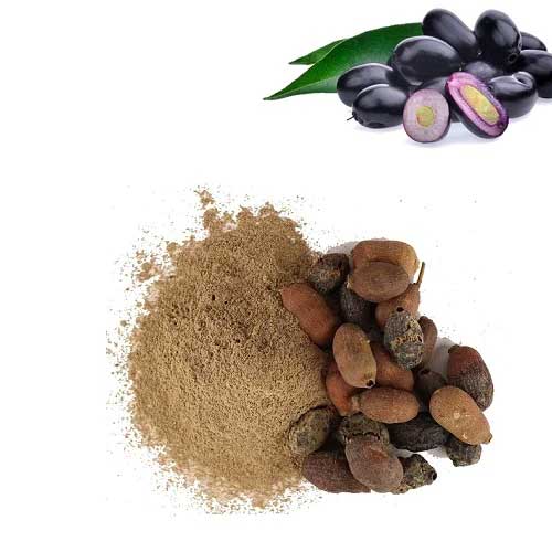 Jamun Powder