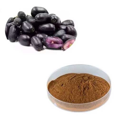 Jamun Powder