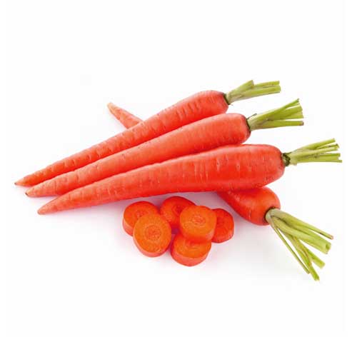 Red Carrot