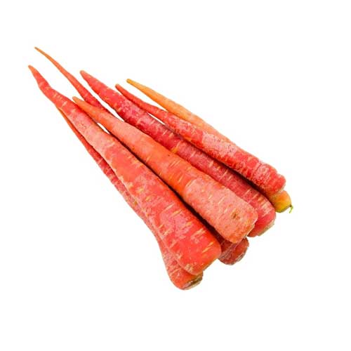 Red Carrot