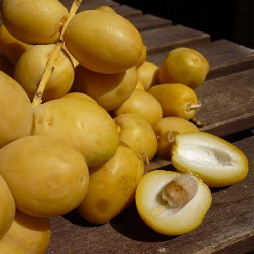 Fresh Dates