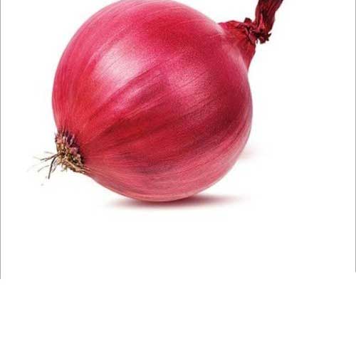Pink Onion