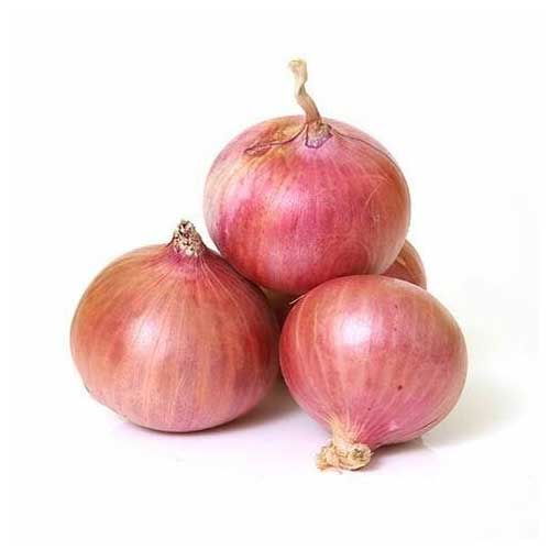 Pink Onion