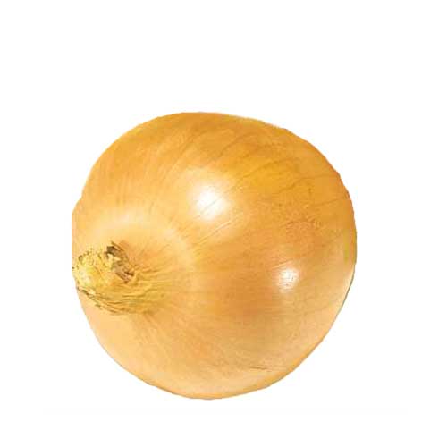 Yellow Onion