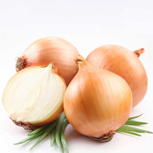 Yellow Onion