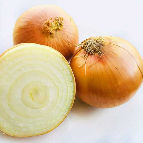 Yellow Onion