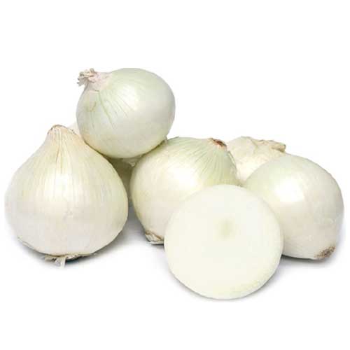 Fresh White Onion