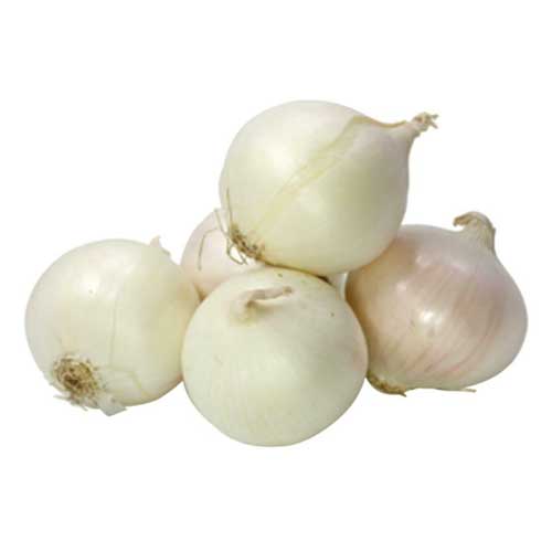 Fresh White Onion