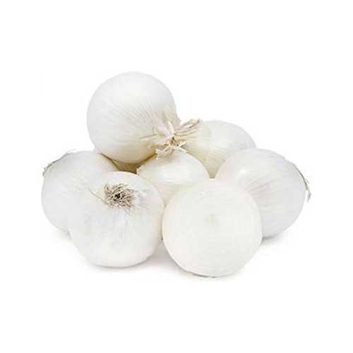 Fresh White Onion