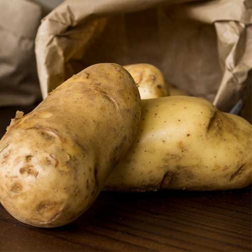 Organic Potato