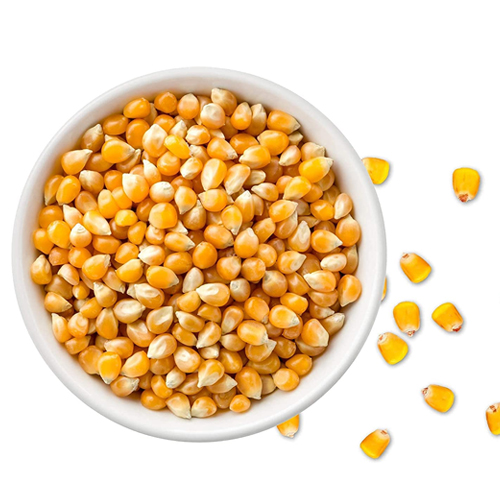 Corn Kernels