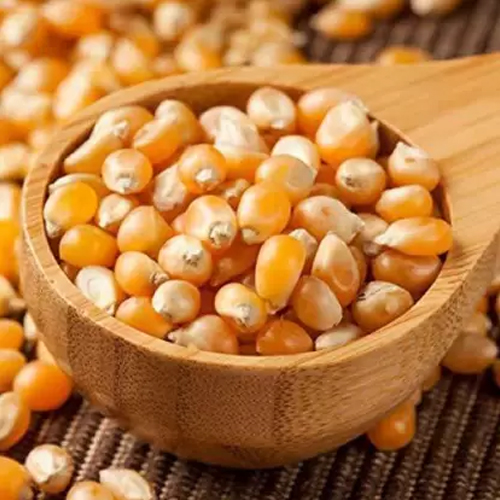Corn Kernels