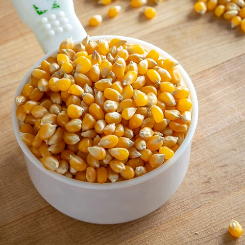 Corn Kernels