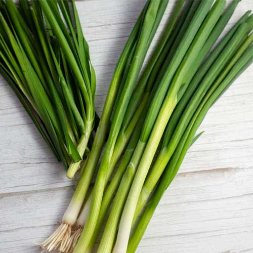 Green Onions