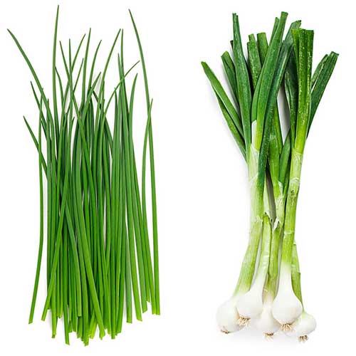 Green Onions