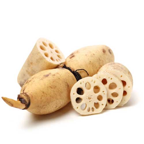 Lotus Root