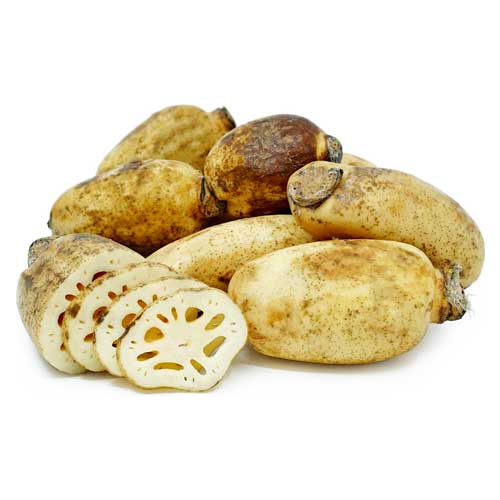 Lotus Root