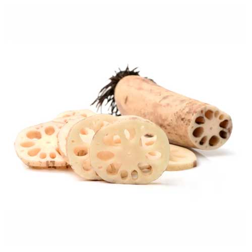 Lotus Root