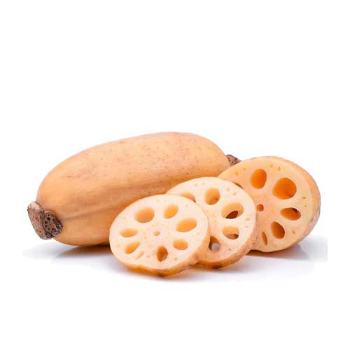 Lotus Root