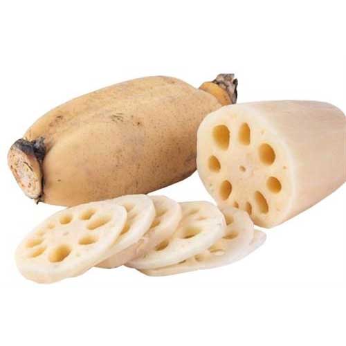 Lotus Root