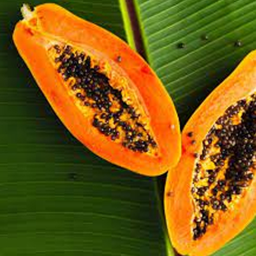 Carica Papaya